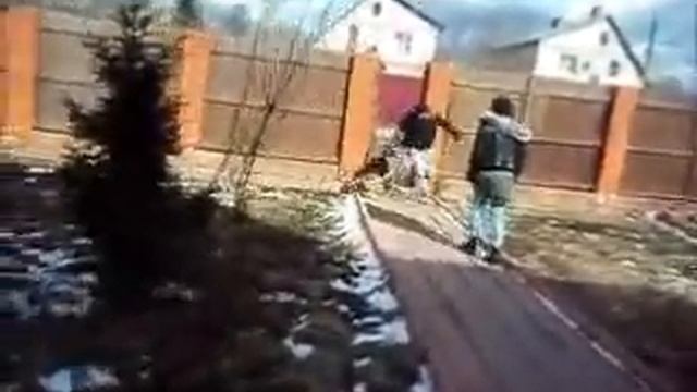 Дрессировка немецкой овчарки смотреть онлайн