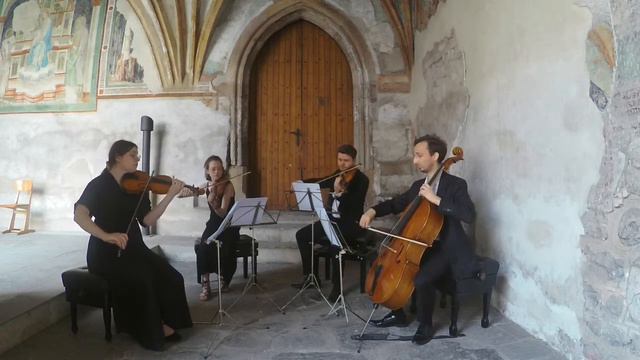 Gabriel's Oboe - Ennio Morricone - String Quartet смотреть онлайн