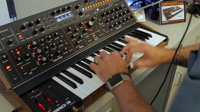 Sequential Pro 3 Synthesizer at Winter NAMM 2020 смотреть онлайн