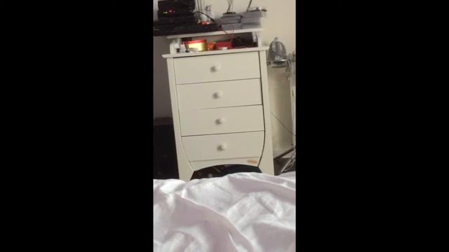 Чи Хуа Хуа пытается запрыгнуть на кровать. смотреть онлайн