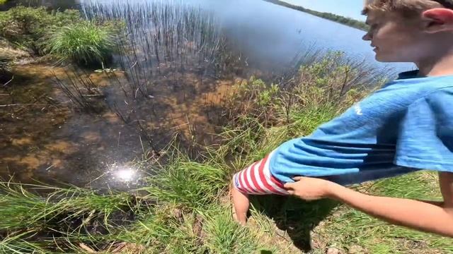 Herping At Huron Manistee National Forest!! смотреть онлайн