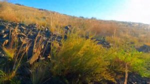 отдых/ атомное озеро??