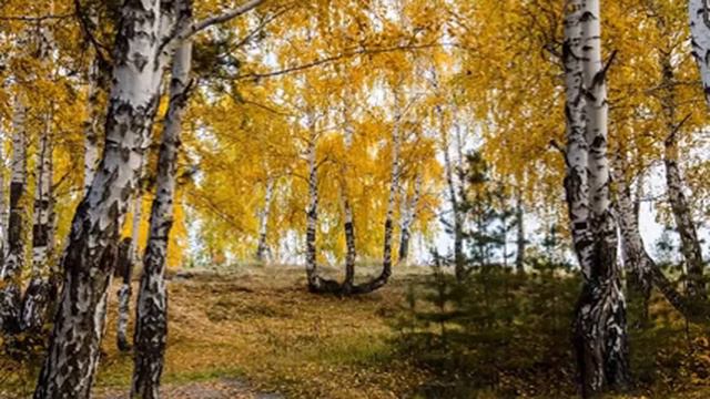 БИБЛИЯ КНИГА ЕНОХА Глава 49. смотреть онлайн
