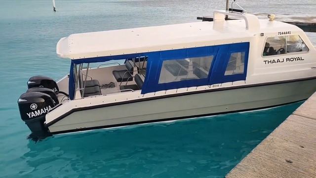 Мальдивы.Fulidhoo.пляж.едим кокос. рыбалка,поймали рыбу GT,обзор Speedboat. мурена.рыбалка с берега