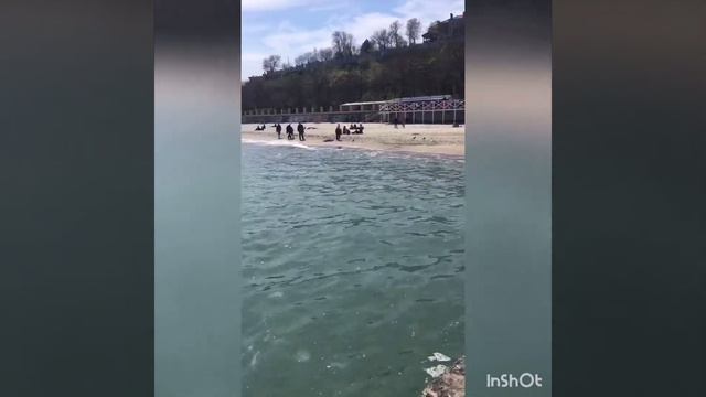 Вербное воскресенье#прогулка на 16 ст фонтана#Одесса#чудоГород смотреть онлайн