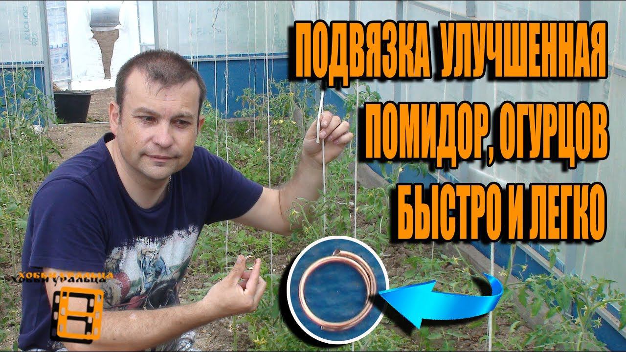 СУПЕР ПОДВЯЗКА ПОМИДОРОВ (ОГУРЦОВ) БЫСТРО И ЛЕГКО. КАК ОТМЫТЬ РУКИ ПОСЛЕ РАБОТЫ С ПОМИДОРАМИ? смотреть онлайн