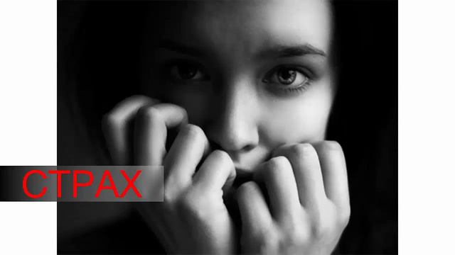 Все богатые - жадины? Откуда берутся капиталисты? смотреть онлайн