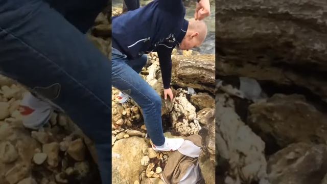 НАШЛИ НА ПОЛОВИНУ ЗАТОНУВШИЙ КОРАБЛЬ В СЕВАСТОПОЛЕ КОГДА ПОДОШЁЛ ТО НЕ ПОВЕРИЛ СВОИМ ГЛАЗАМ смотреть онлайн