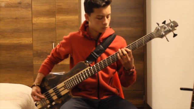 Stray Heart- Green Day Bass Cover смотреть онлайн