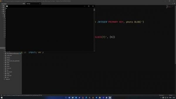 БАЗЫ ДАННЫХ НА PYTHON | SQLITE3 | РАБОТА С ФОТОГРАФИЯМИ