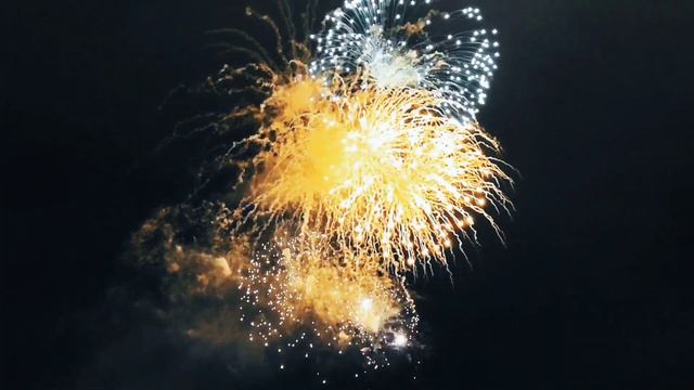 VID 20240128 043542 Подсолнух (Хильда Домин)...Павел Васильев Лахтинский смотреть онлайн