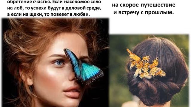 Бабочки. Приметы . смотреть онлайн