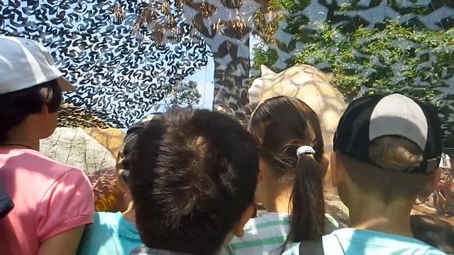 Экскурсии в Сочи. Шоу крокодилов!!! смотреть онлайн