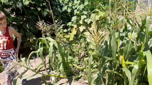 День рождения Кирюши 9 лет смотреть онлайн