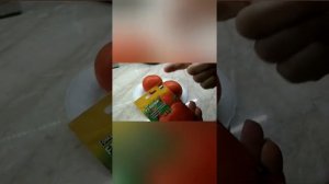 Томат Полбиг f1 в открытом грунте #томаты