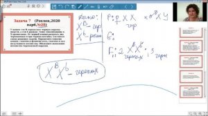 Черепаховая  окраска кошек. Сцепленное с полом наследование. Задание 28. ЗАДАЧА. ЕГЭ