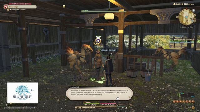 Let's Play Final Fantasy XIV Online | Pt. 37 "Chocobo Bootcamp" смотреть онлайн