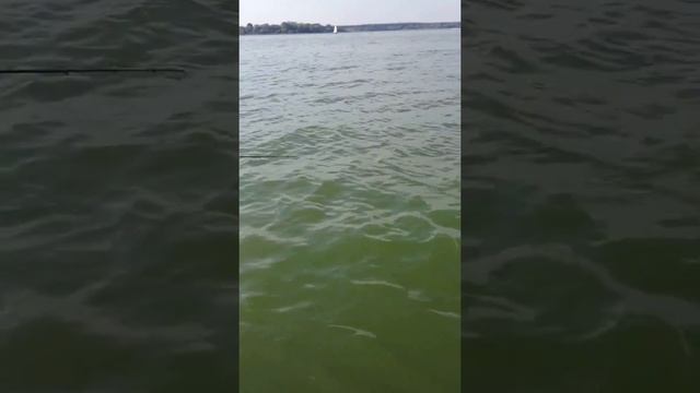 окунь на поролон (отводной) смотреть онлайн