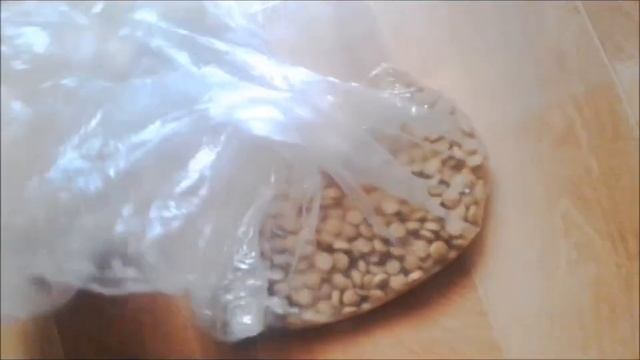 Мышь не ловится в мышеловку?The mouse is not caught? What should I do? Решение есть! смотреть онлайн