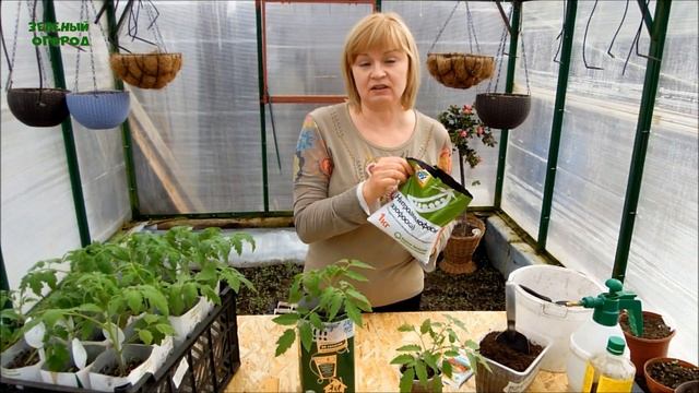 ПОДКОРМКА ТОМАТОВ! ЧЕМ и КОГДА это делать! Советы от ЗЕЛЕНОГО ОГОРОДА! смотреть онлайн