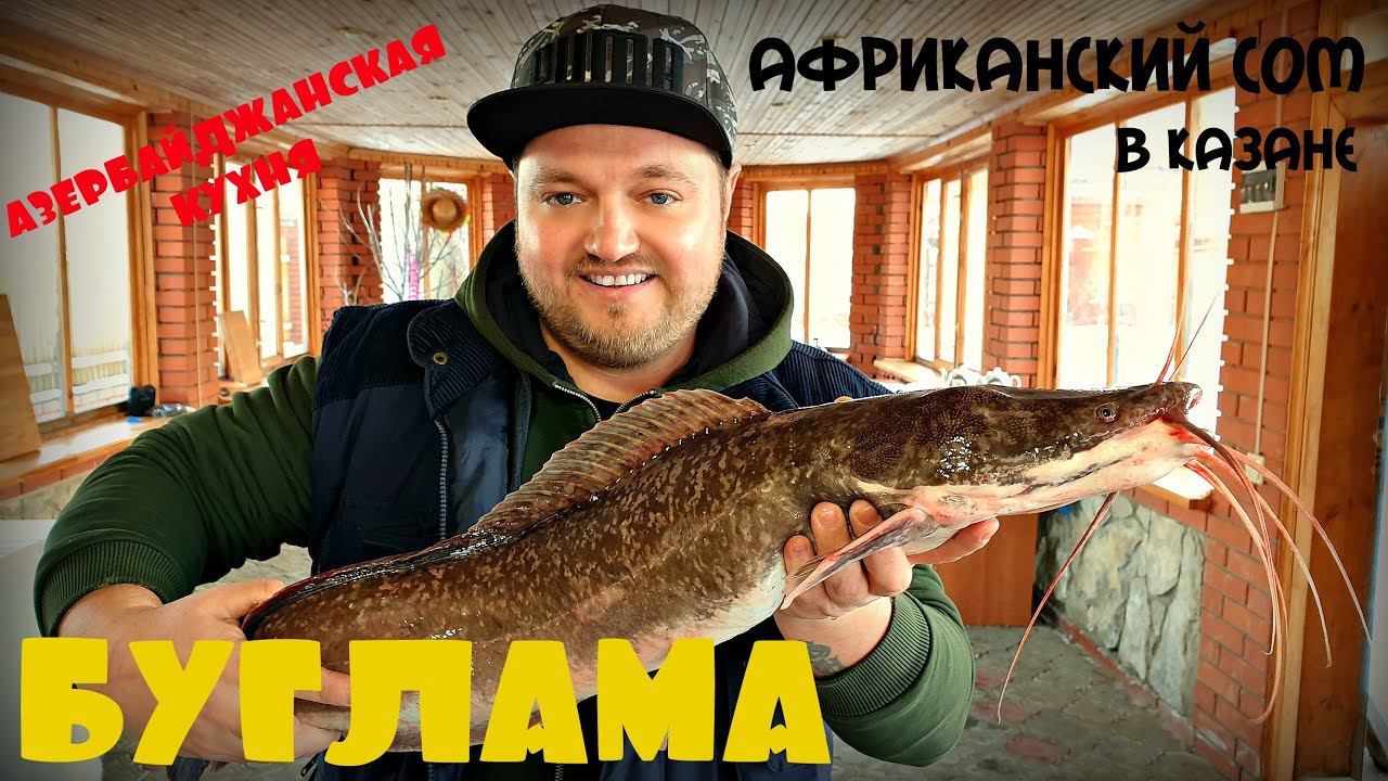 БУГЛАМА ИЗ АФРИКАНСКОГО СОМА | АЗЕРБАЙДЖАНСКАЯ КУХНЯ | БЛЮДО ИЗ РЫБЫ В КАЗАНЕ НА КОСТРЕ смотреть онлайн