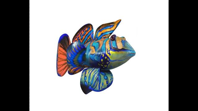 Mandarin Dragonet Goby fish 3d model смотреть онлайн