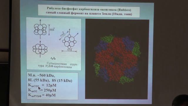 Лекция 6. Фотосинтез 3 смотреть онлайн