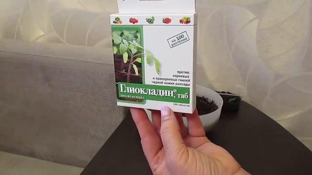 Избавляемся от плесени на грунте.04.02.2020 смотреть онлайн