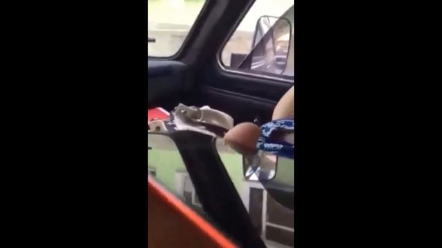 стыдно, а дальше ещё стыднее смотреть онлайн