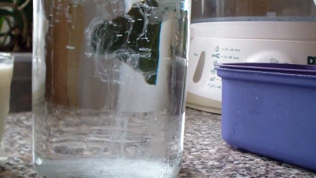 Как проверить корову на стельность. Тест на молоке. Народный метод.Test for pregnancy. смотреть онлайн