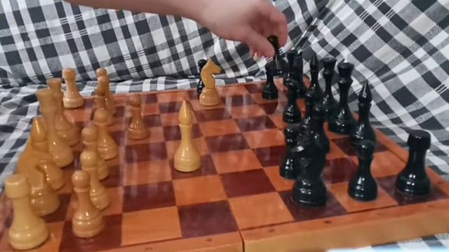 Юный шахматист Двойной удар в игровом процессе смотреть онлайн