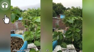 iPhone 6s VS iPhone se 2020 Camera Comparison