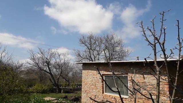24 апреля 2022 г .Херсонская область с.Раковка. смотреть онлайн