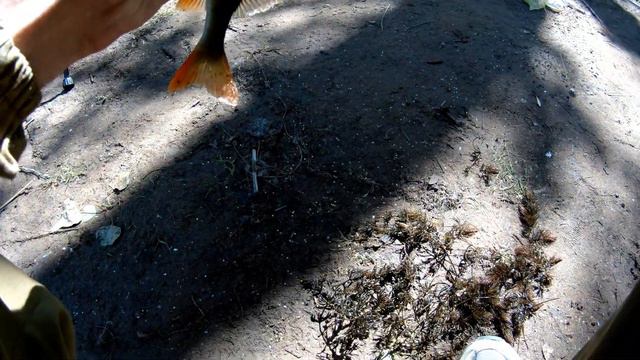 Рыбалка на поплавок. Подлещик да на удочку) смотреть онлайн