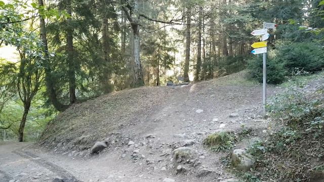 Borjomi 2017 смотреть онлайн