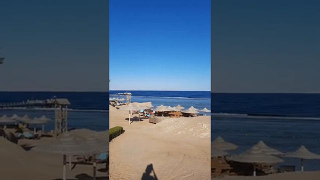 Charmillion Club Resort, Шарм-эль-Шейх. Краткий обзор смотреть онлайн