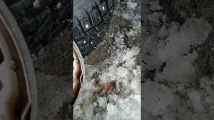 тоyoта korolla в 120 кузове, замена задних,передних тормозных колодок.