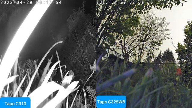 Live-Streaming für den neuen Tapo C325WB mit ColorPro Night Vision смотреть онлайн