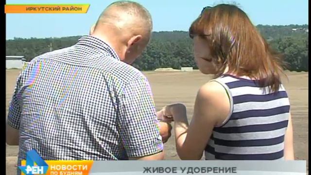 От "шевелящихся" зловонных куч задыхаются сотни людей в Иркутском районе смотреть онлайн