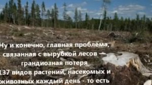 Отмечаем Всемирный день Земли