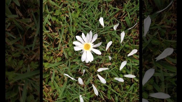 It Is Okay- Photoshop Project 2014 смотреть онлайн