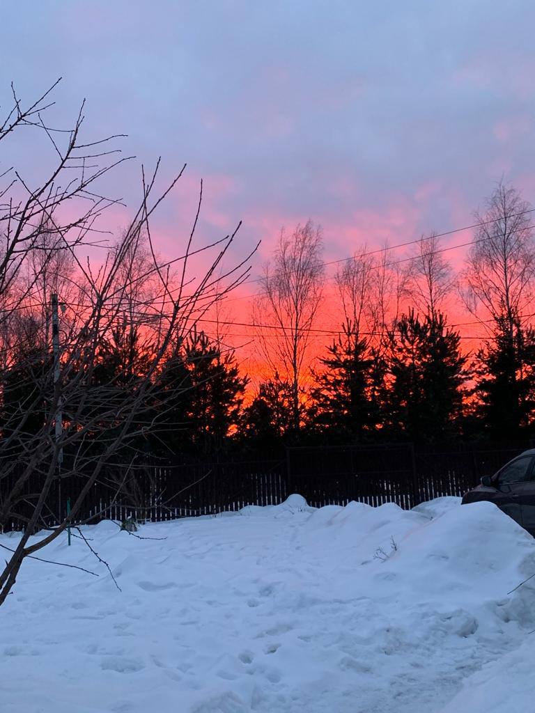 Алена Дронова