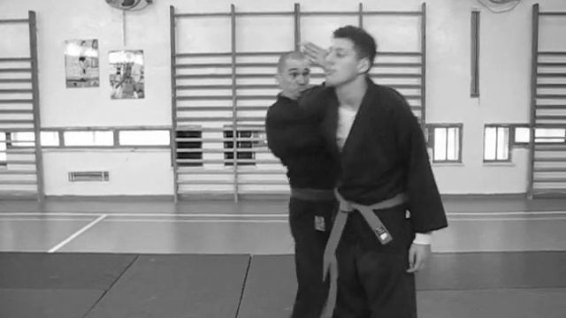 Second policeman hold, Ninjutsu technique for the AKBAN wiki смотреть онлайн