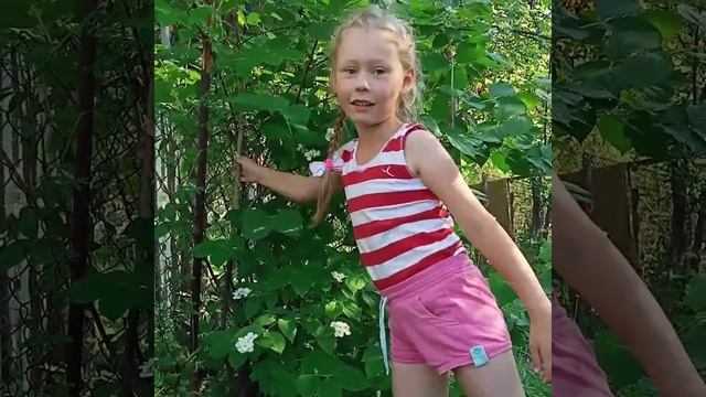 Жасмин или не жасмин? А это чубушник. Ямуткова Александра 6 лет. смотреть онлайн