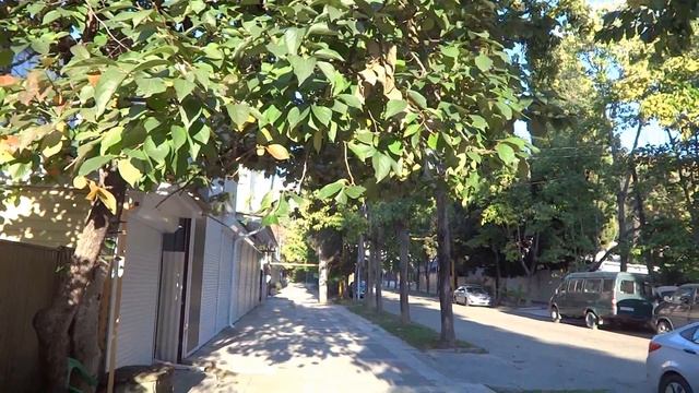 Лох в октябре. Лазаревское, сады Lazarevskoe - SOCHI - RUSSIA смотреть онлайн