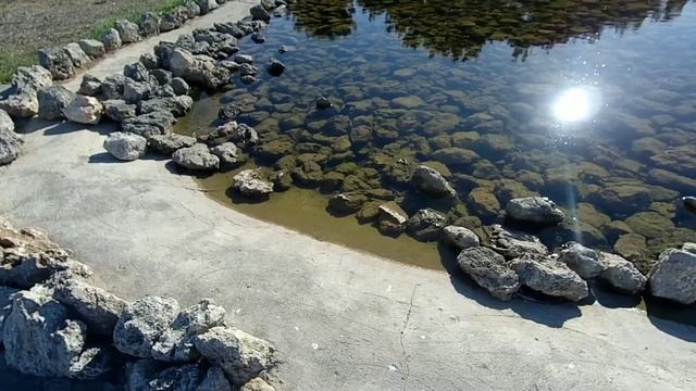 Севастополь. Нахимовское училище. смотреть онлайн