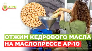Отжимаем кедровый орех на маслопрессе AP-10.