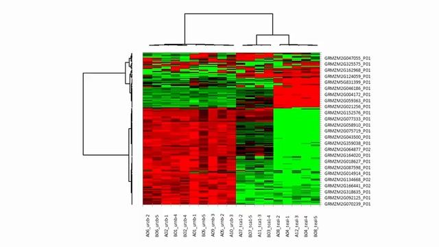 What is a heat map? смотреть онлайн