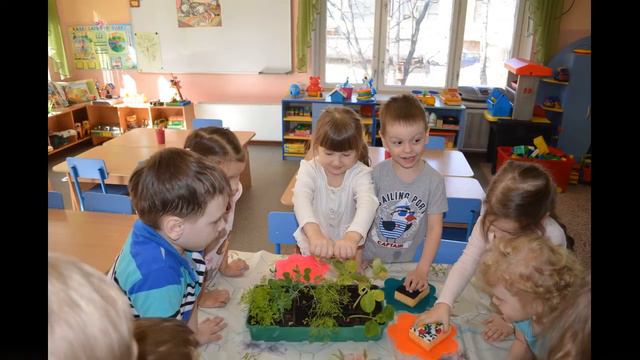 Педагог года 2017 смотреть онлайн