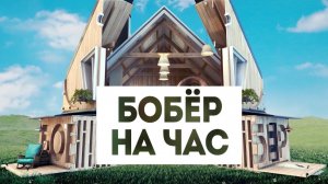 Смотри  программу «Бобёр на час» в эфире телеканала "Бобёр"
